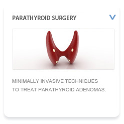 Parathyroid